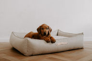 Nachhaltig leben mit Hund: 15 Tipps für Hundehalter