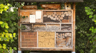 Hotel für Insekten