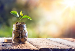 Natur Geld sparen