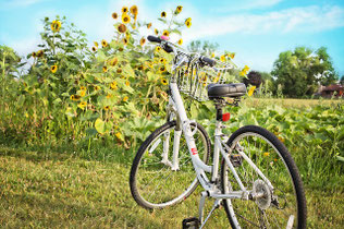 Fahrrad Natur