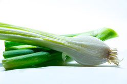 Frühlingszwiebel